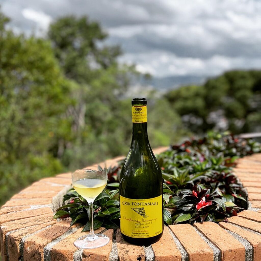 Como o clima molda o sabor dos vinhos brasileiros 4