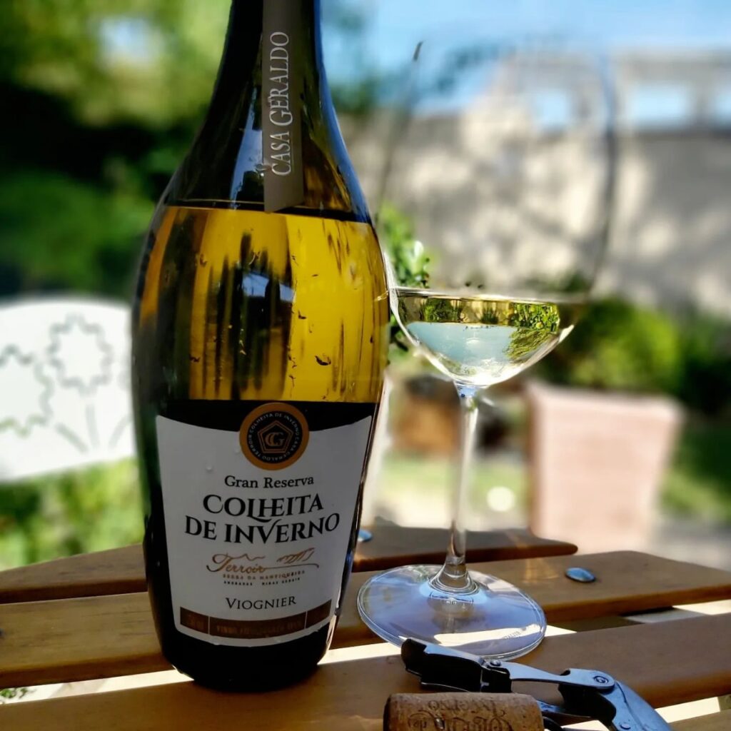 Como o clima molda o sabor dos vinhos brasileiros 3