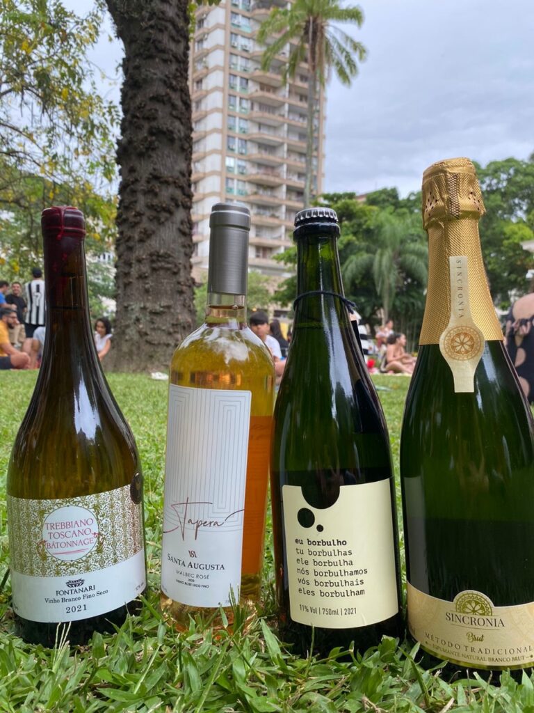 Como o clima molda o sabor dos vinhos brasileiros 5