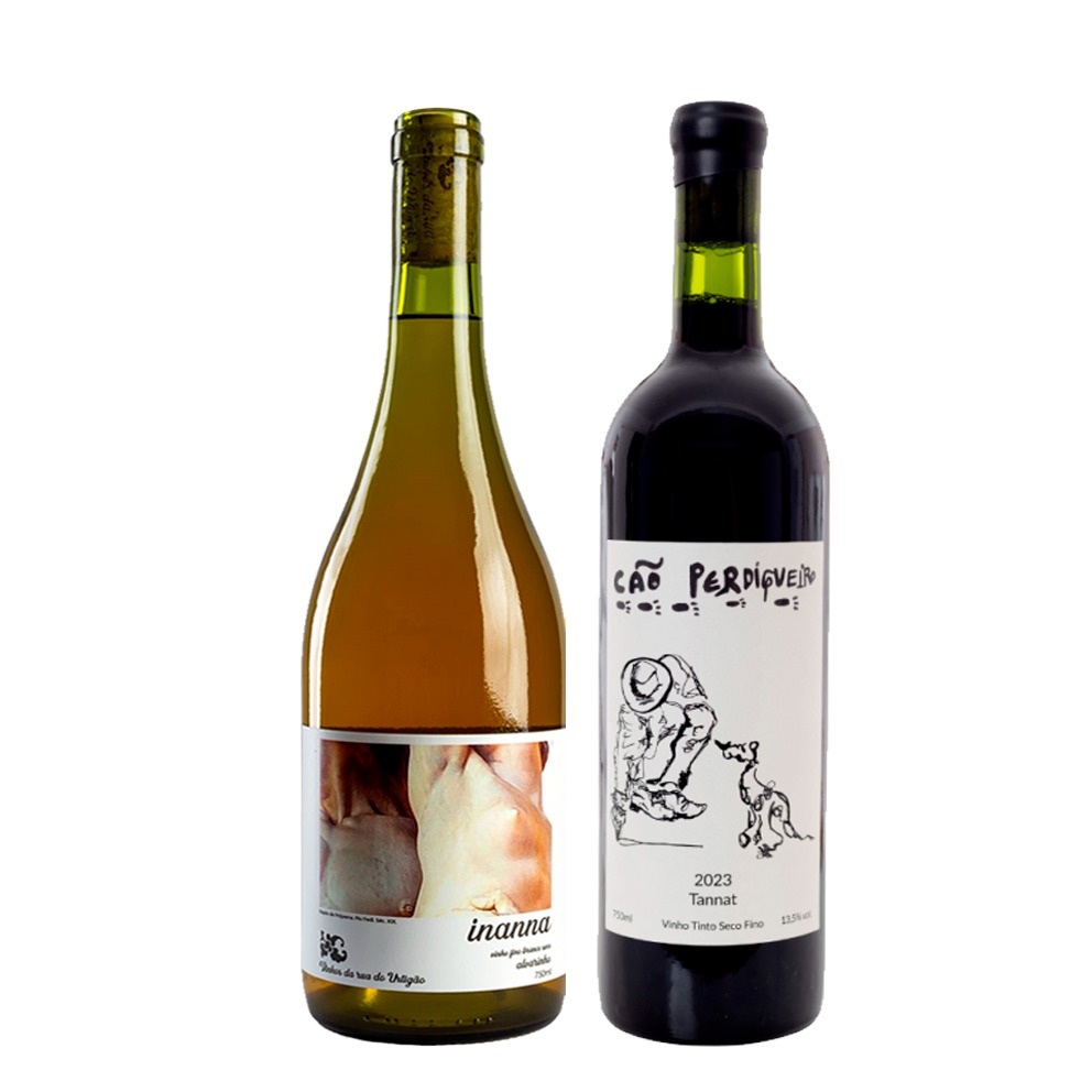 Cao perdigueiro x pizzato